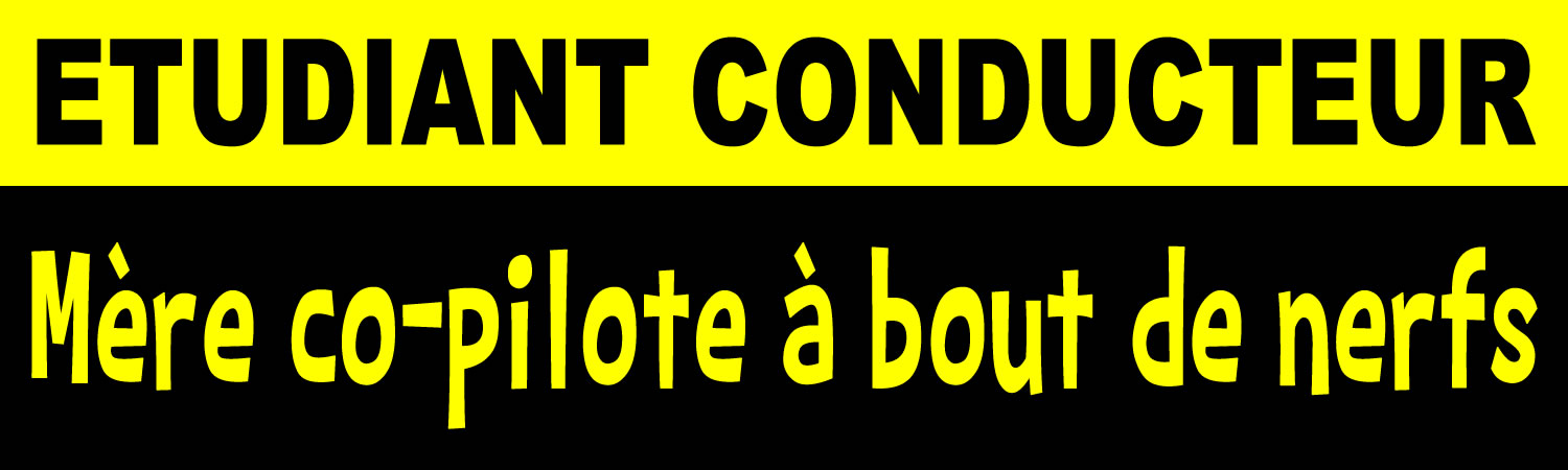 Etudiant Conducteur Vinyl Sticker, Window Cling or Magnet in UV Laminate Coating