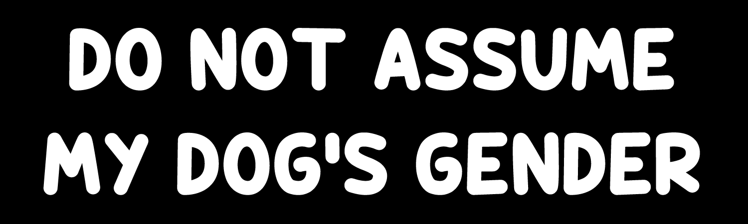 Do Not Assume My Dogs Gender Vinyl Bumper Sticker, Window Cling or Bumper Sticker Magnet in UV Laminate Coating