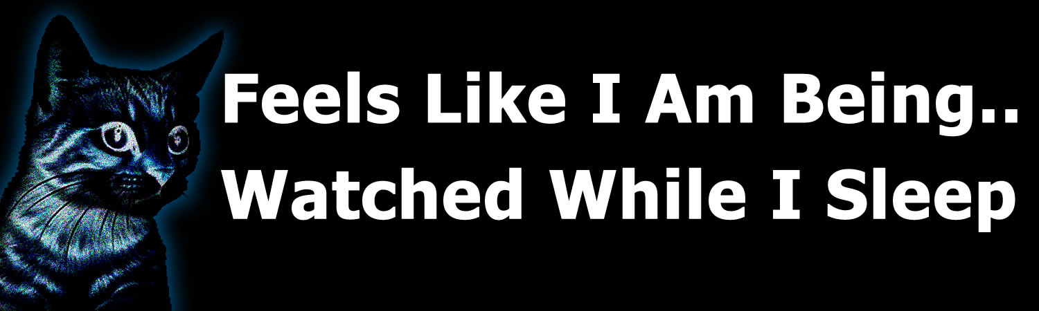 Feels Like I Am Being Watched While I Sleep Vinyl Bumper Sticker, Window Cling or Bumper Sticker Magnet in UV Laminate Coating