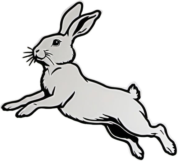 Rabbit Vinyl Bumper Sticker  Window Cling or Bumper Sticker Magnet in UV Laminate Coating