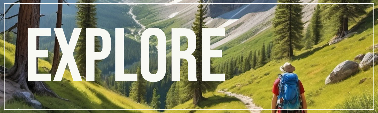 Explore Vinyl Bumper Sticker  Window Cling or Bumper Sticker Magnet in UV Laminate Coating