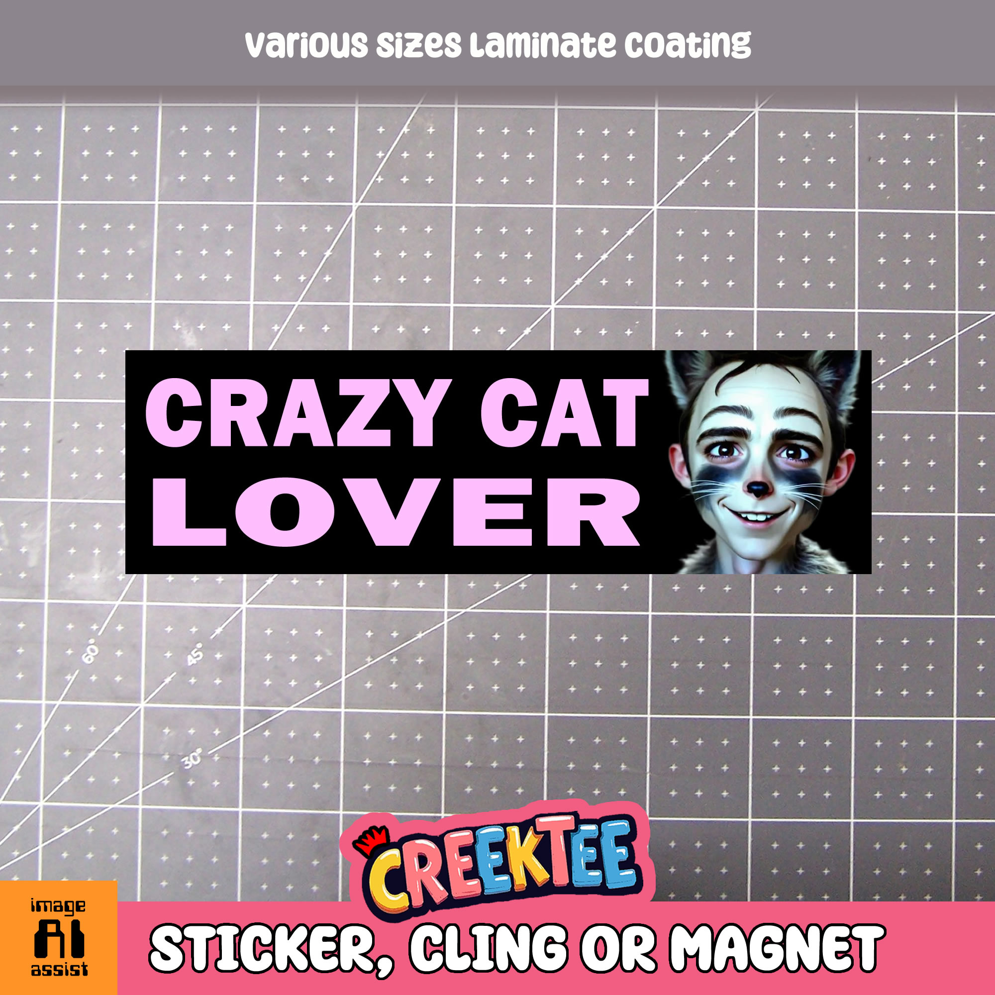 Crazy Cat Lover Vinyl Bumper Sticker  Window Cling or Magnet in UV Laminate Coating and Various Sizes