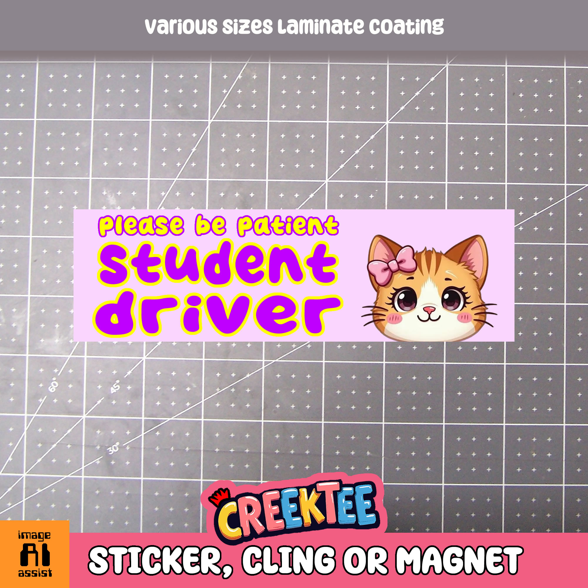 Please be Patient Student Driver Vinyl Bumper Sticker  Window Cling or Magnet in UV Laminate Coating and Various Sizes